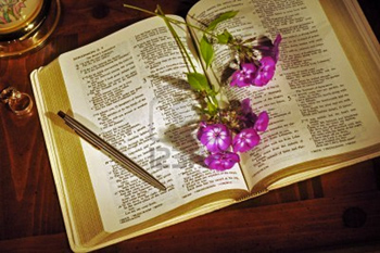 3443210-biblia-abierta-al-cantar-de-los-cantares-con-flores-plumas-y-los-anillos-de-boda